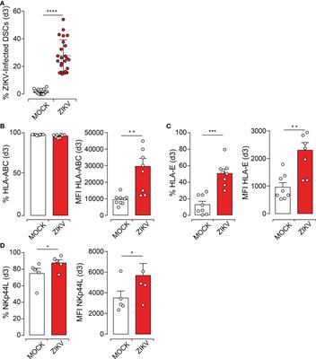 The mechanisms underlying the immune control of Zika virus infection at the maternal-fetal interface